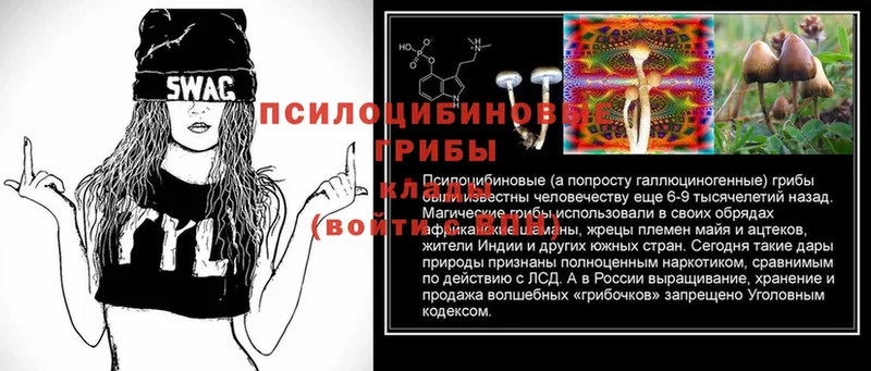 Галлюциногенные грибы MAGIC MUSHROOMS  Нефтеюганск 